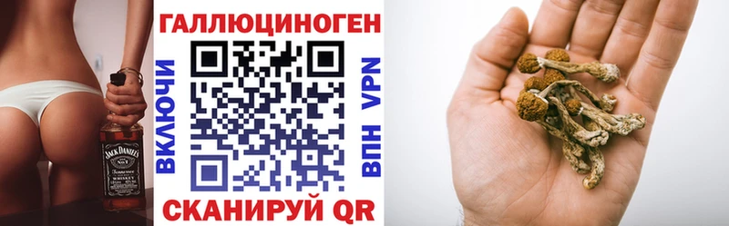 что такое наркотик  Альметьевск  кракен tor  Псилоцибиновые грибы Psilocybe 